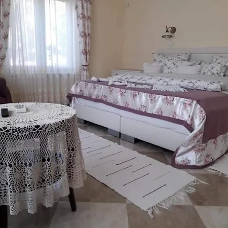 Aranyoshaz-vendeghaz Budapest