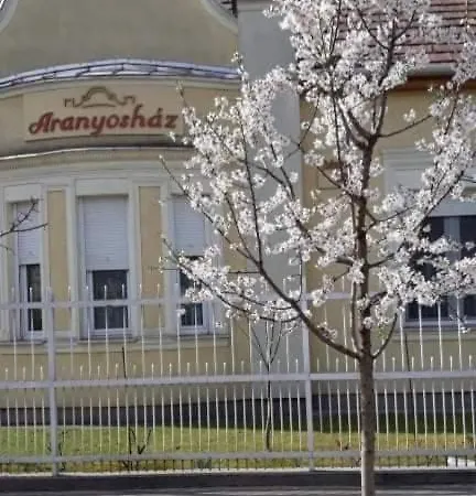 Aranyoshaz-vendeghaz * Budapest