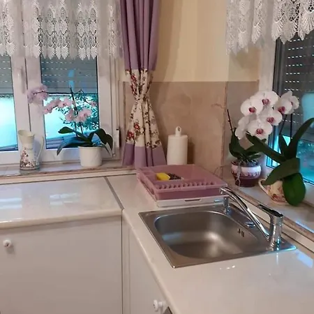 Apartment Aranyoshaz-vendeghaz