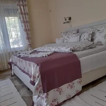 Apartment Aranyoshaz-vendeghaz