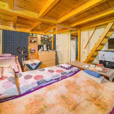 Budapest Central Apartment Privat bolig