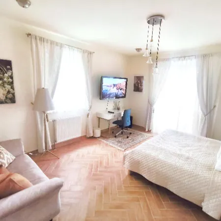 Bellevue With Ac & Heating & Terrace Apartment *