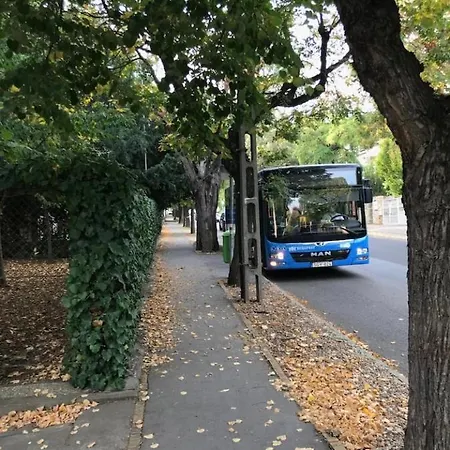 Deviza Budapest