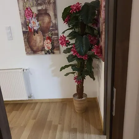 The Loft Apartment