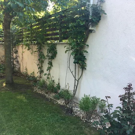 Madarhegy With Garden Buda Side