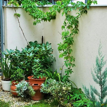 Madarhegy With Garden Buda Side Apartment
