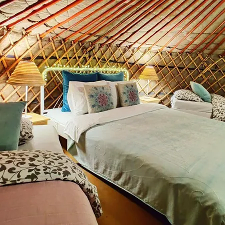 Shantee House ブダペスト