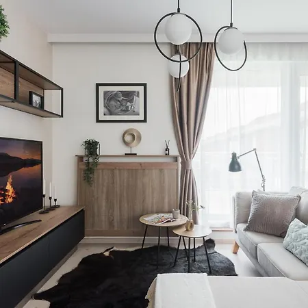 Apartment Downtown Penthouse