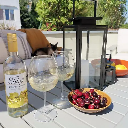 Grand Terrace With Ac & Heating Appartement Boedapest