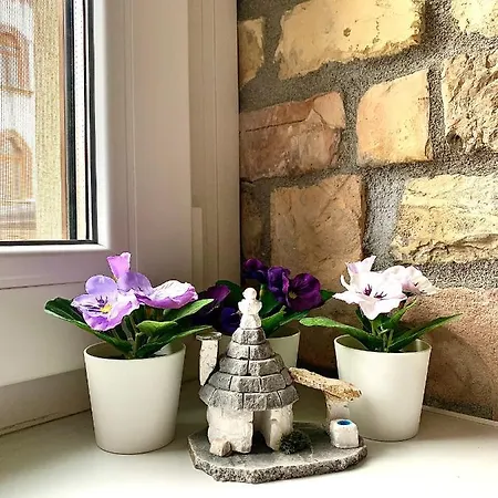 Vivi Apartment *