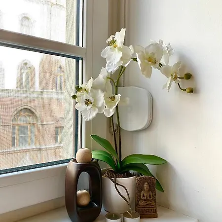 Apartment Vivi Budapest