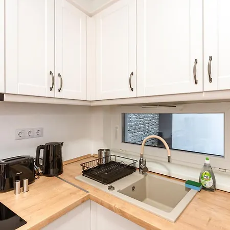 Modern & Newly Built With Private Garage Apartment *