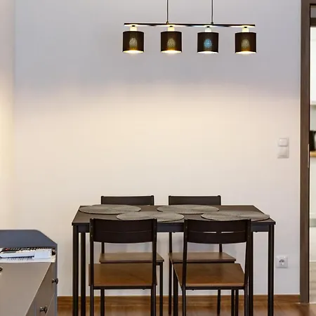 Modern & Newly Built With Private Garage Apartment