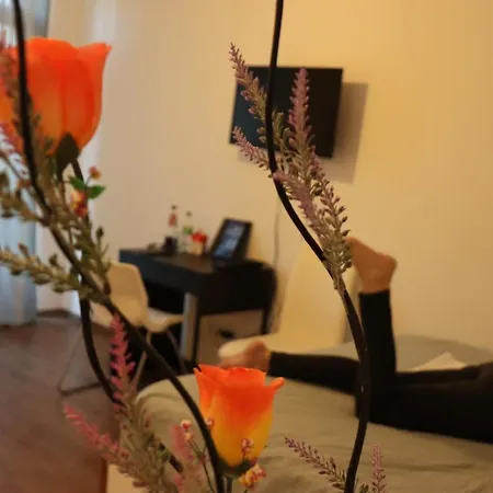 Apartment My *