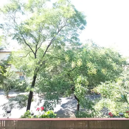 Free Parking, Balcony, Near To Park *