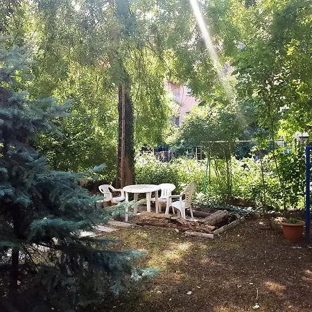 Downtown Buda Homes Relax