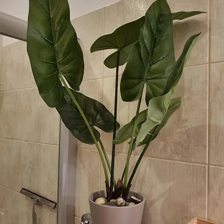 M - Downtown 2 Appartement Budapest