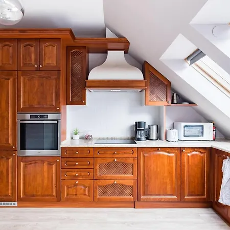 Appartement Sunny And Penthouse With Private Garage