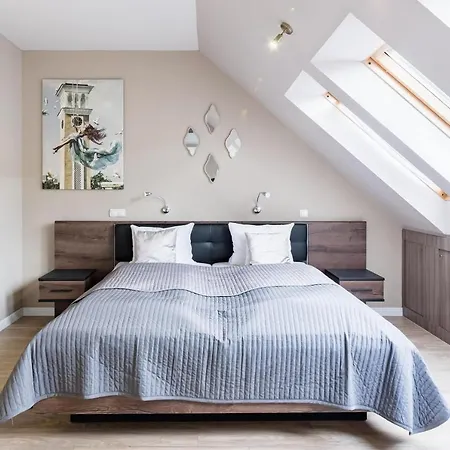 Sunny And Penthouse With Private Garage Apartament