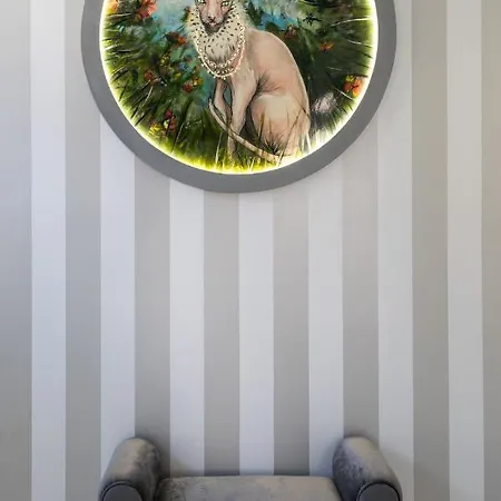 Apartament Galaxy Cube *
