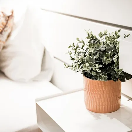 Stylish And Spacious ! Location Kazincy Netflix