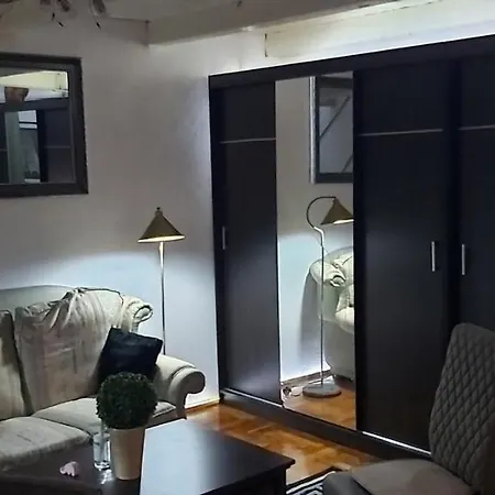 Center Terrace Apartment