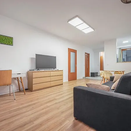 Apartment Modern With Garage
