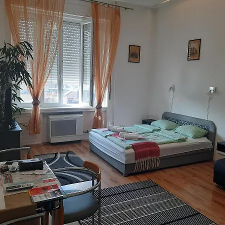 Free Garage!!! Downtown Near The New York Coffee House Apartment *