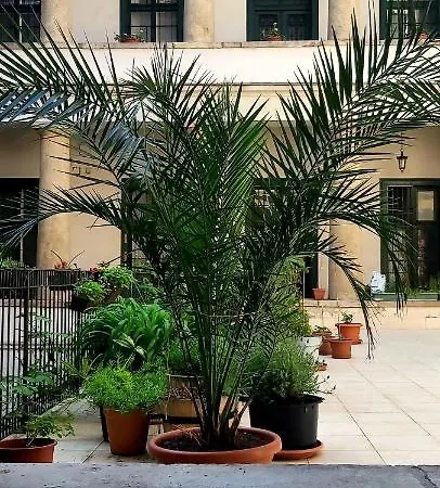 Apartment Center Terrace *