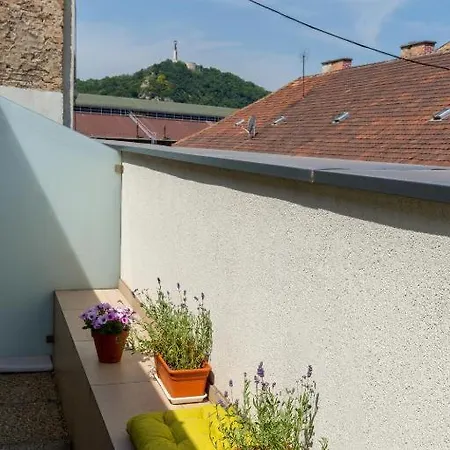 Daire Erkel Rooftop *