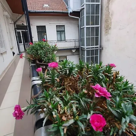 Violet With Air Condition * Budapest
