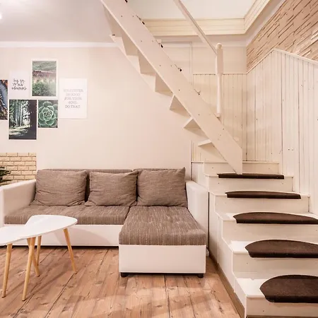 Zensen Nest *