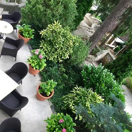 Vadvirag Panzio 3*