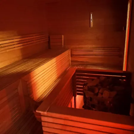 Luxury Dunapest With Spa And Pool Budapest