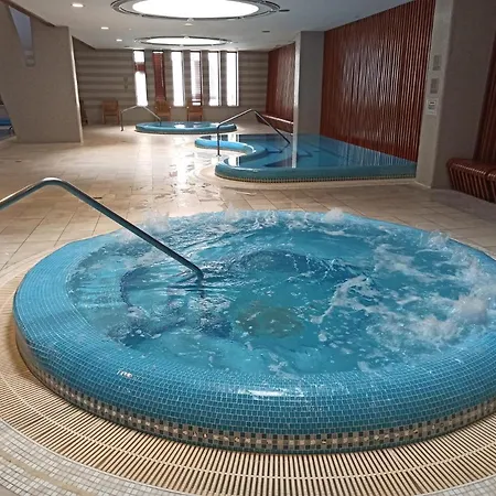 Luxury Dunapest With Spa And Pool Apartment