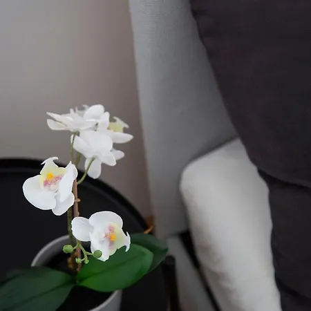 Downtown Cozy In The Gozsdu Garden Apartment *