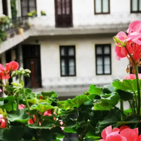 Cozy Design - Near Keleti & Citypark Apartment *