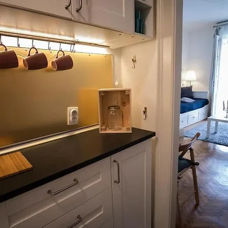 Parisian Soul In The Heart Of Apartment Budapest