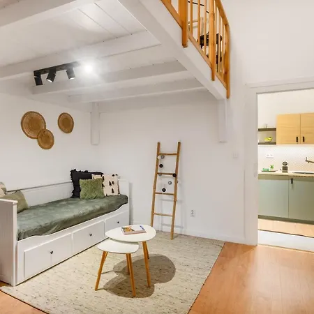 Apartment R31 Raday Budapest