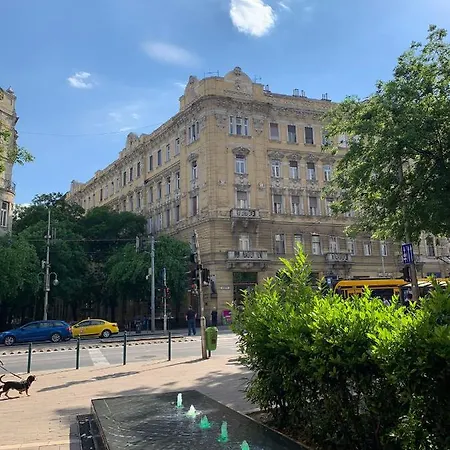 Rainforest By The Danube Budapest
