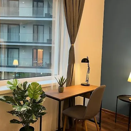 Erkel Luxury Apartment *