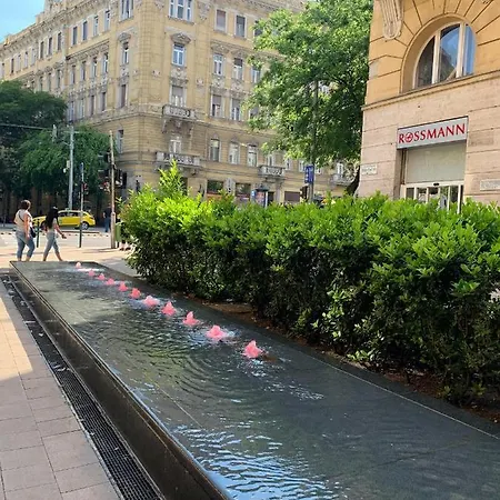 Rainforest By The Danube Apartment Budapest