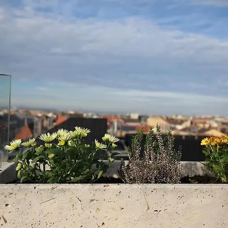 Apartment 360 Panorama • Rooftop Jacuzzi • Downtown Luxury *