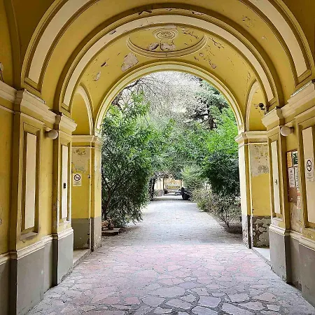 Venus - King Street Iv * Budapest
