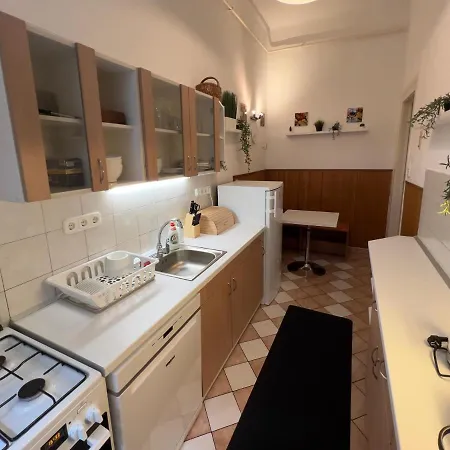 Apartment In The Pedestrial Area Budapest