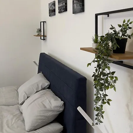 In The Pedestrial Area Apartment *