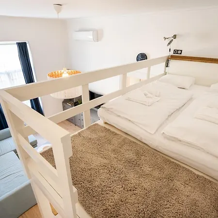 Youth Motive With Gallery Apartment
