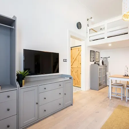 Apartment Youth Motive With Gallery Budapest