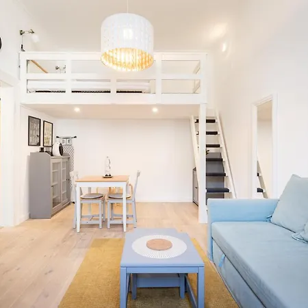 Apartment Youth Motive With Gallery *