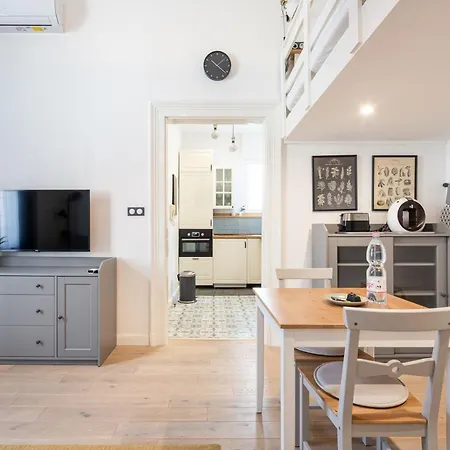Youth Motive With Gallery Apartment